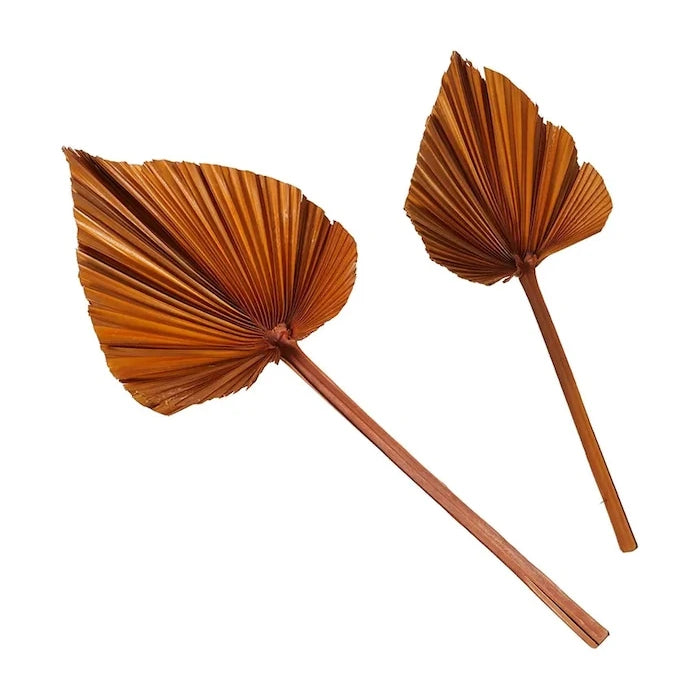 Декорация Boltze Areca (2 броя)