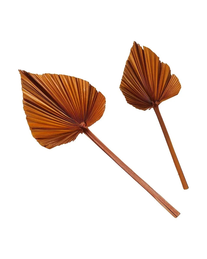 Boltze Areca Dekorasyonu (2 adet)
