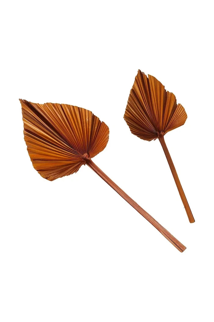 Декорация Boltze Areca (2 броя)