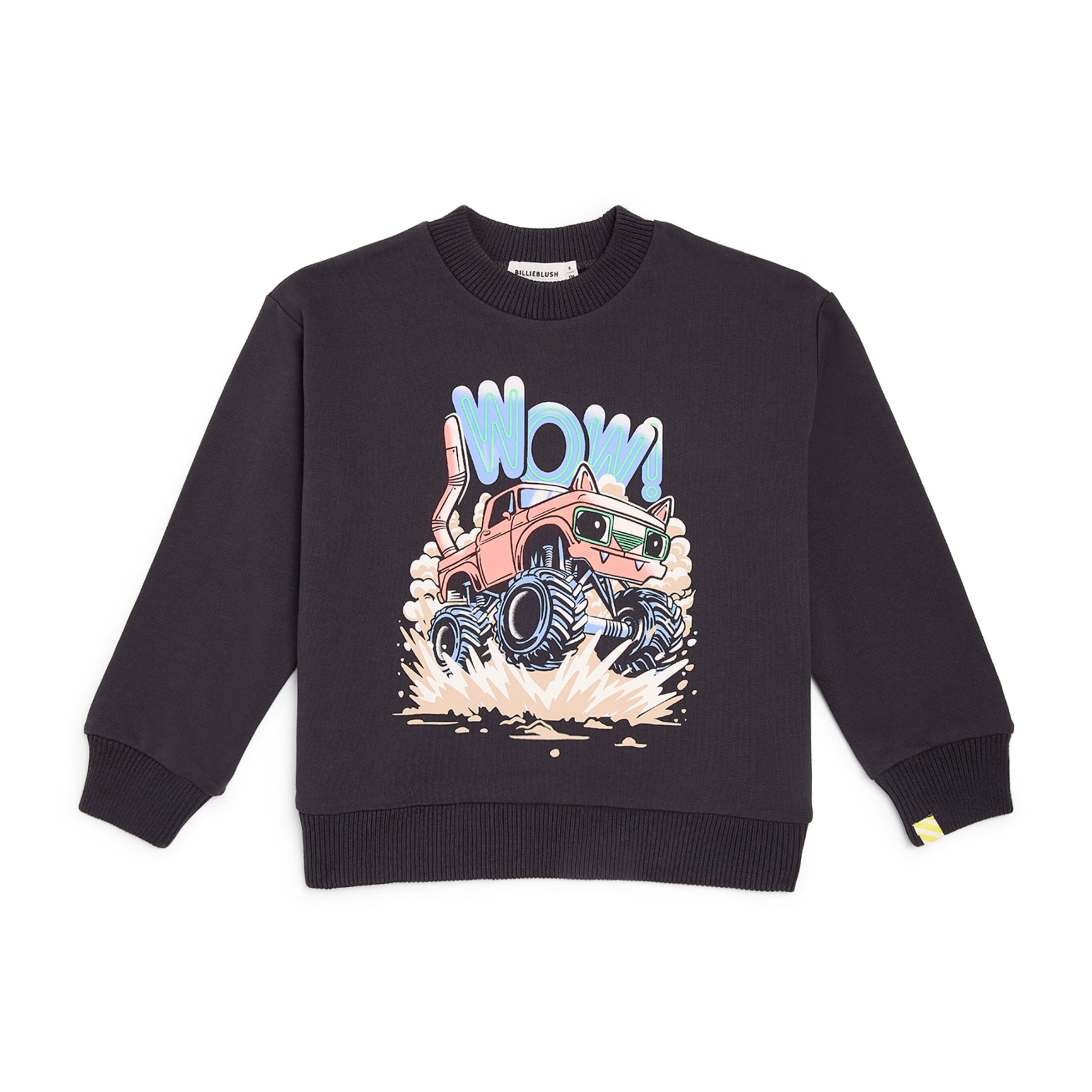 Cotton Graphic Sweatshirt (2-6 Years)