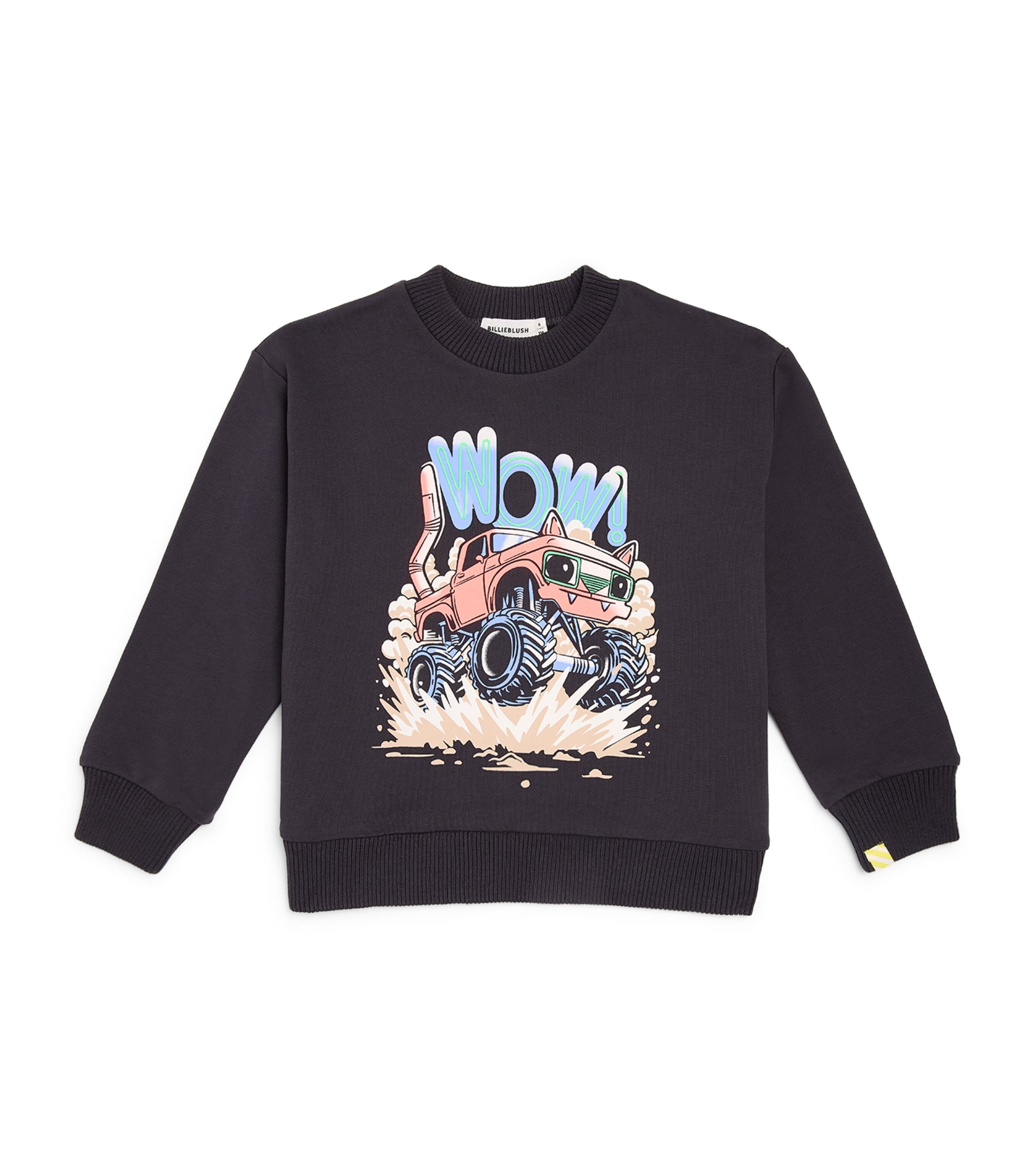 Cotton Graphic Sweatshirt (2-6 Years)