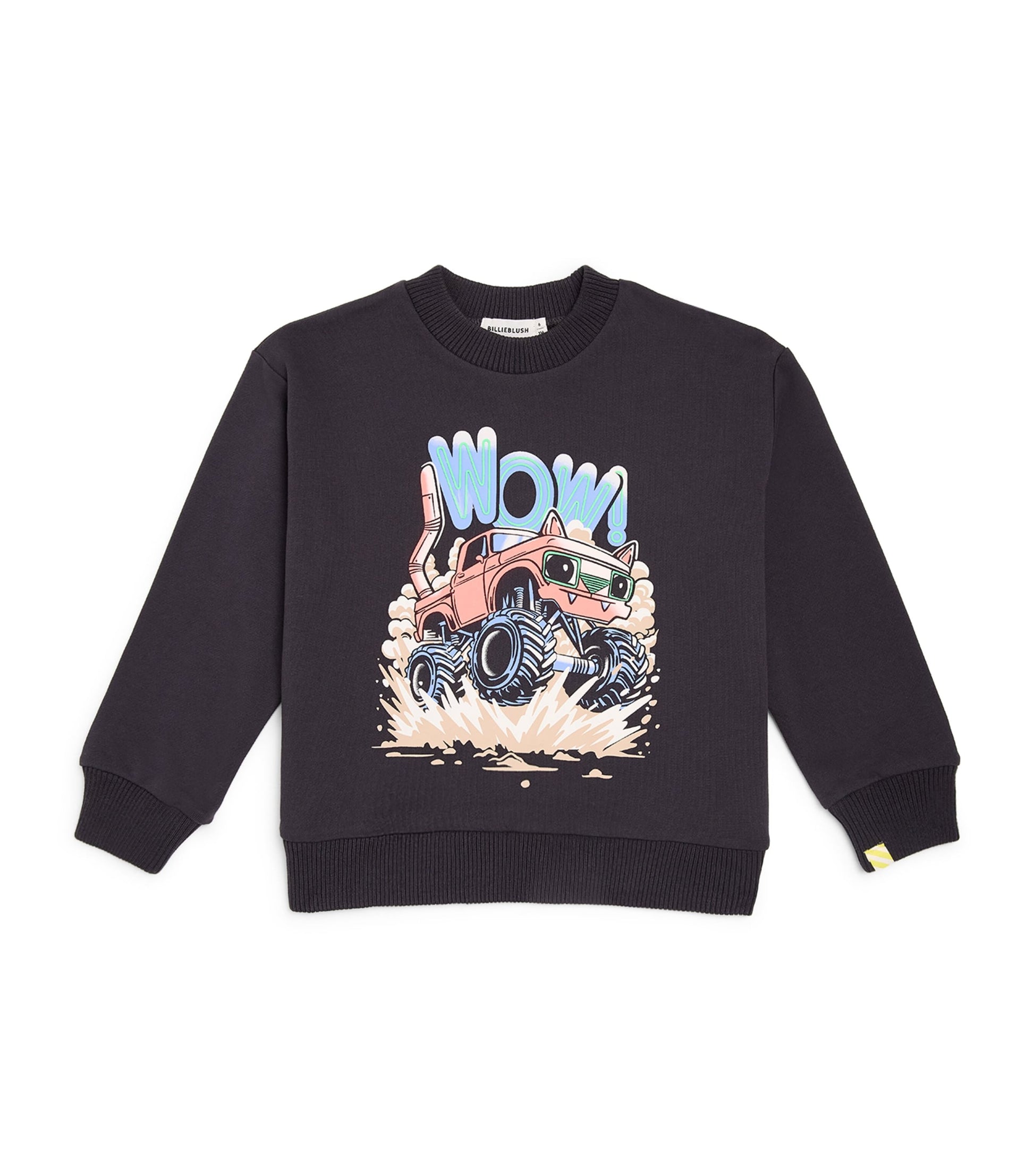 Cotton Graphic Sweatshirt (2-6 Years)