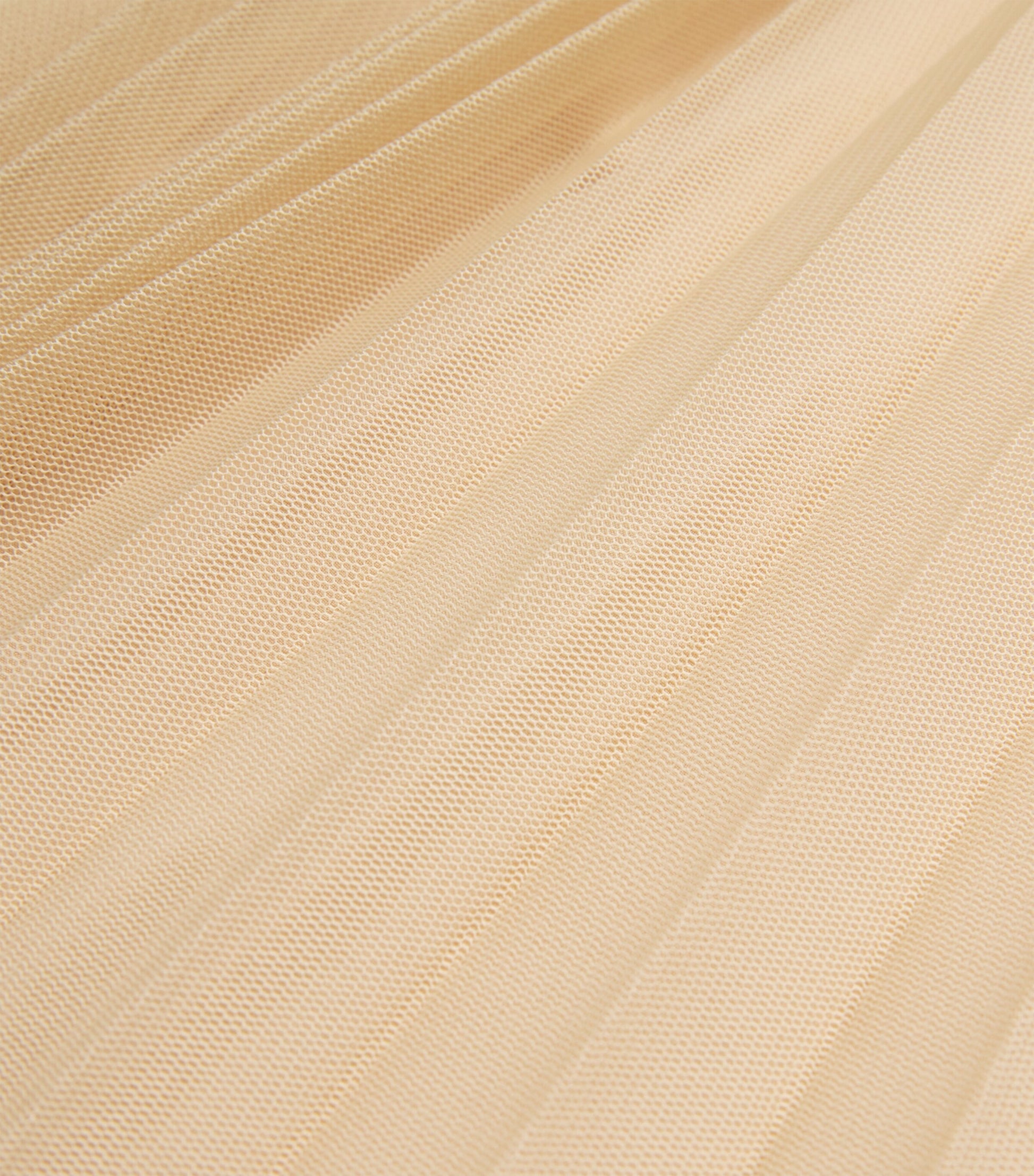 Fabiana Filippi Pink Tulle Maxi Skirt