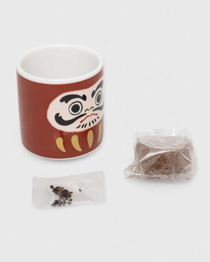 Комплект за отглеждане на растения Noted Lucky Plant - Daruma Doll
