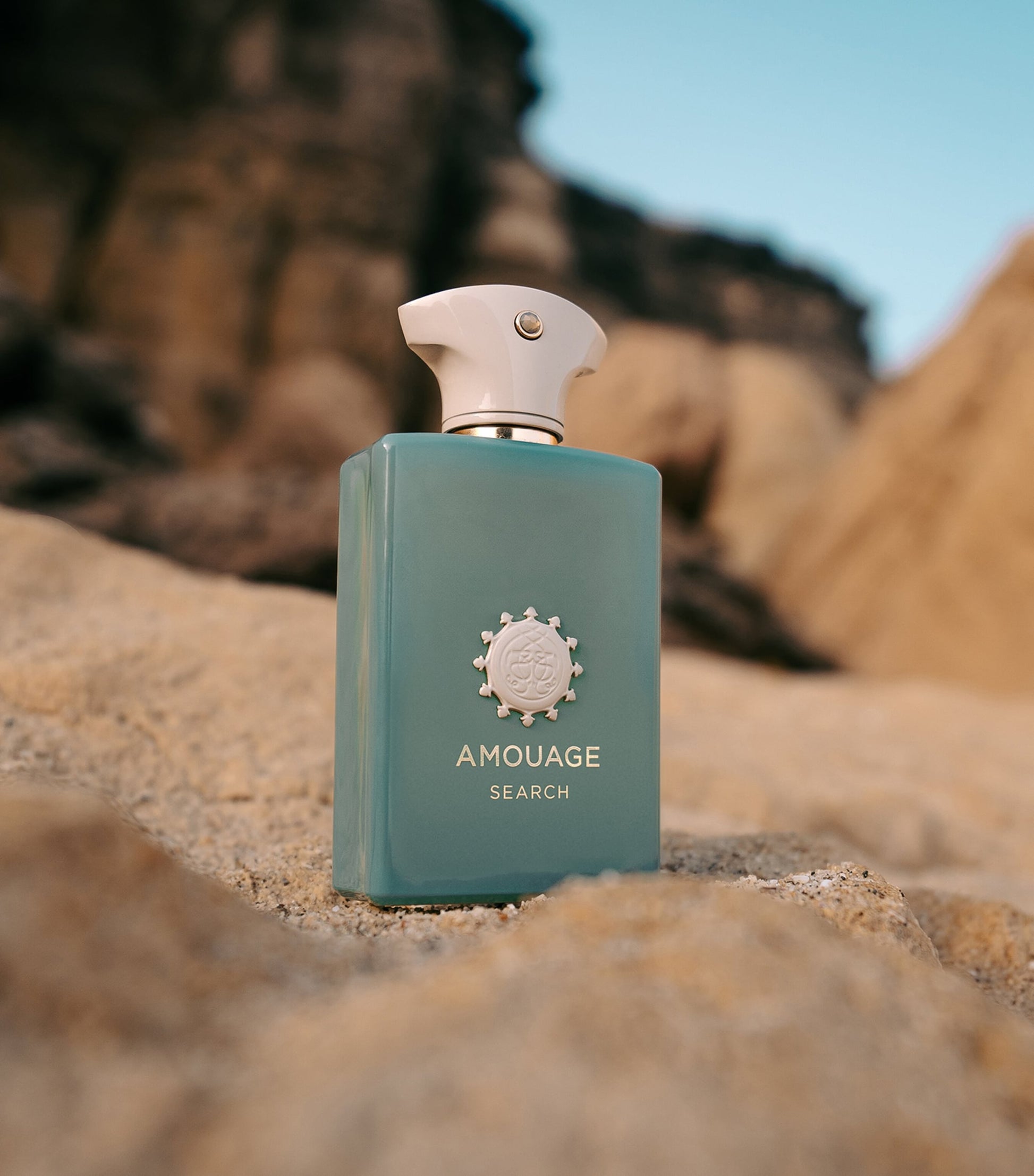 Search Eau de Parfum (100ml)