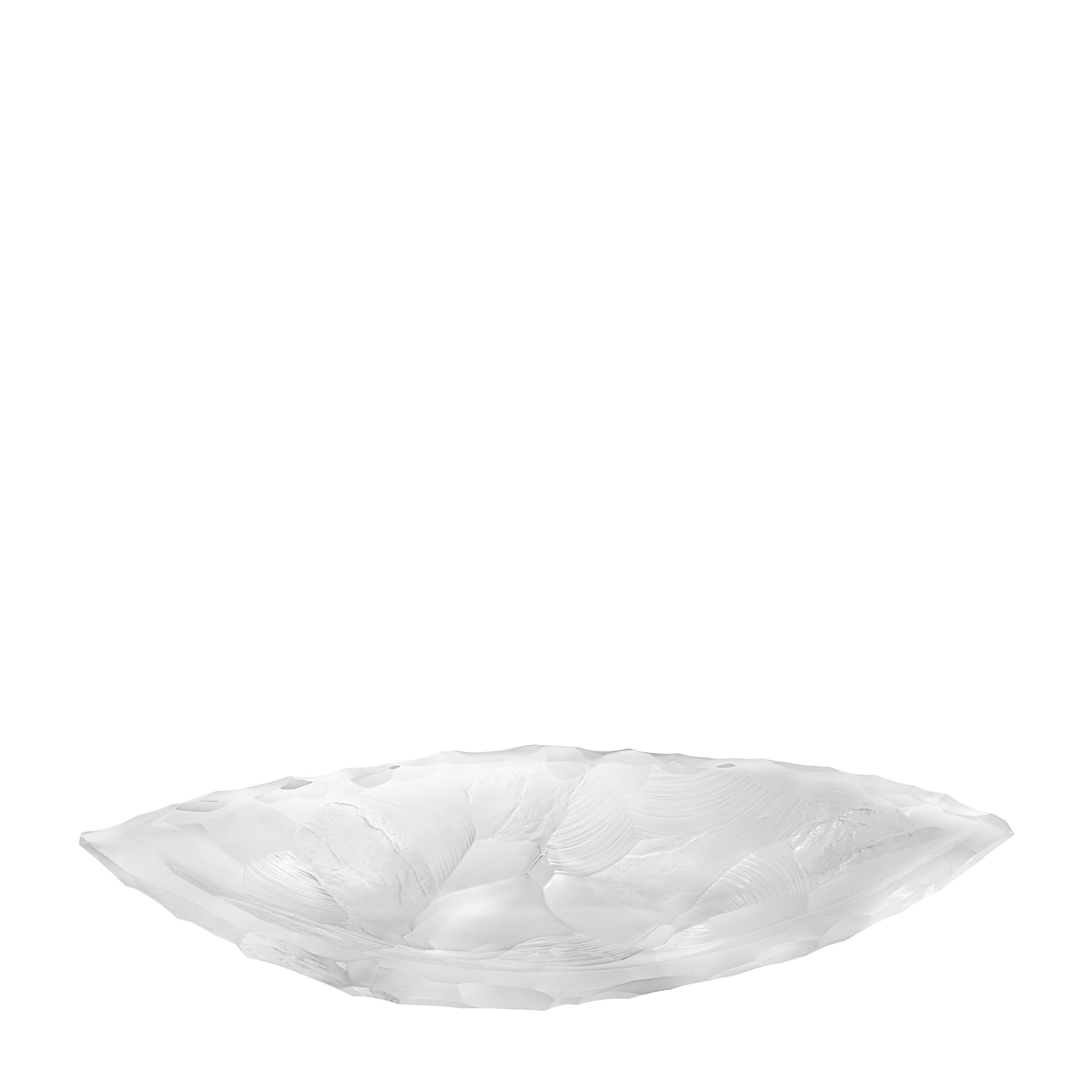 Large Crystal Silex Bowl (65cm)