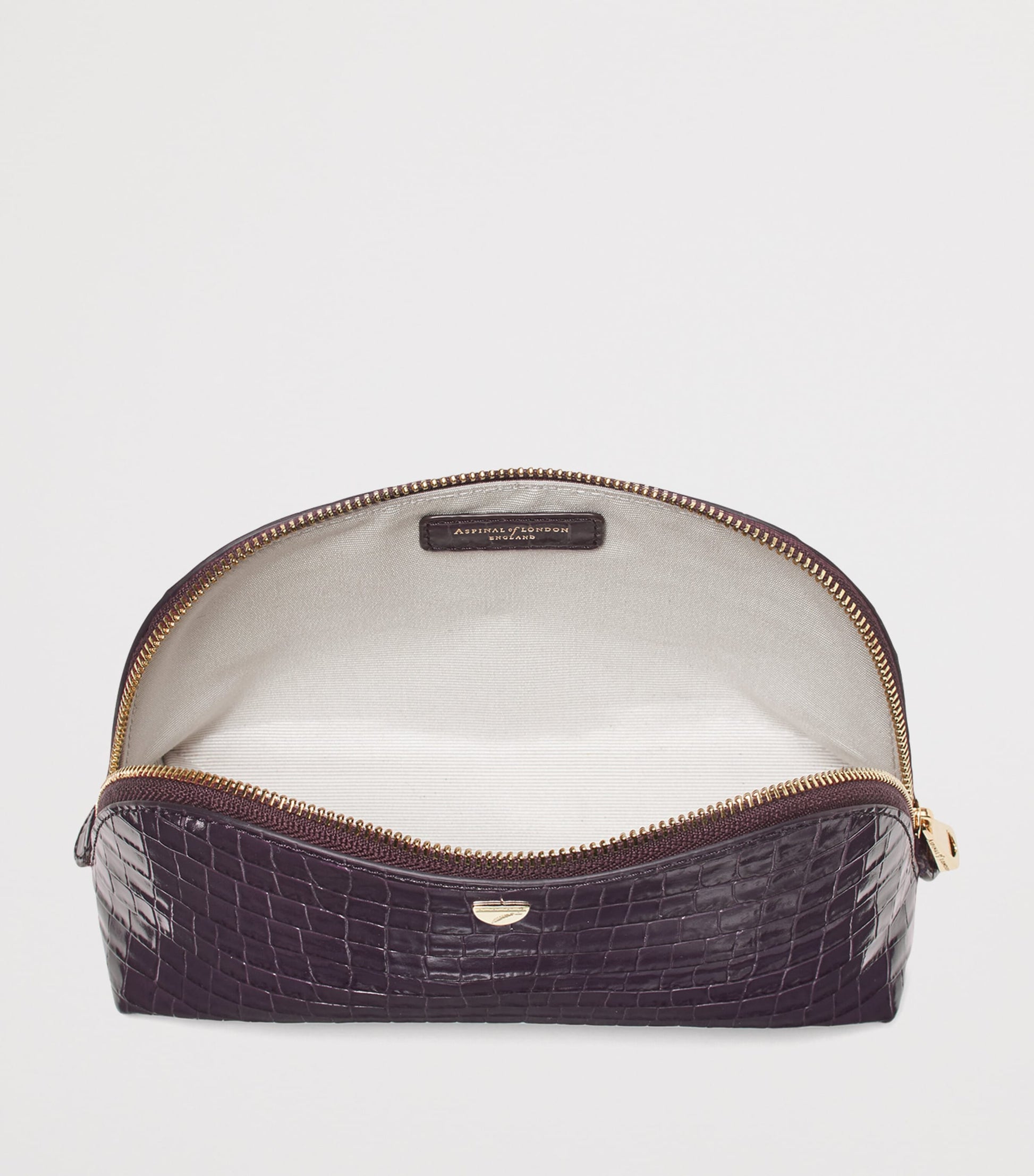 Small Leather Croc-Embossed Cosmetic Case