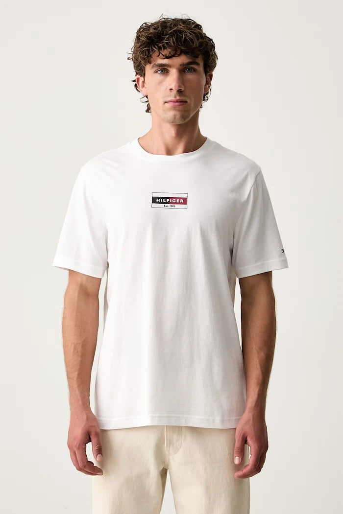 Tommy Hilfiger erkek pamuklu tişört