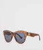 Brown Vintage Screen Sunglasses