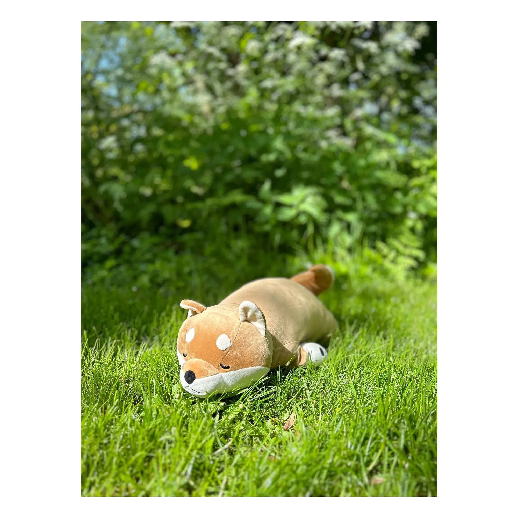 Nemu Nemu - Kotarou the Shiba Dog plush toy | Camel