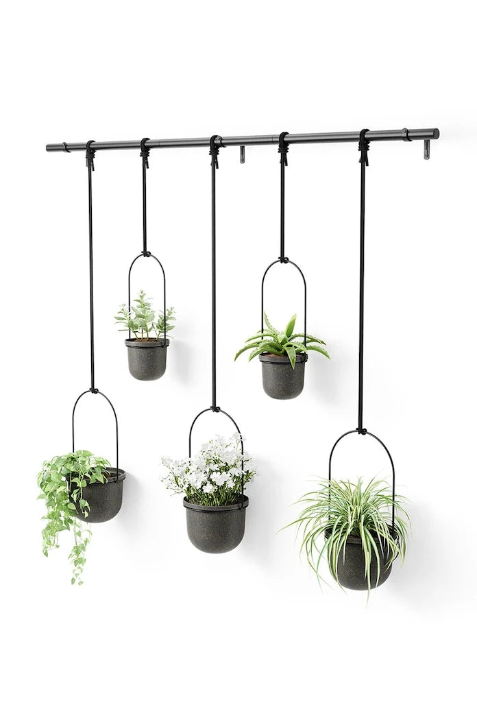 Umbra Duvar Saksıları Seti 2 x O10 cm / 3 x O15 cm