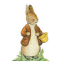 Peter Rabbit Egg Hunt Kit