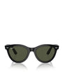 Black RB2241 Wayfarer Sunglasses