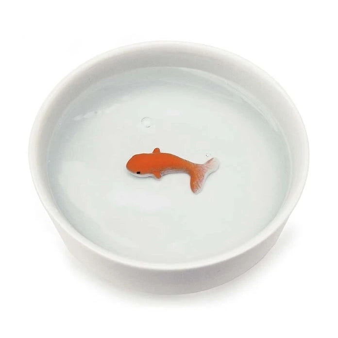 Luckies of London Goldfish Kedi Su Kabı