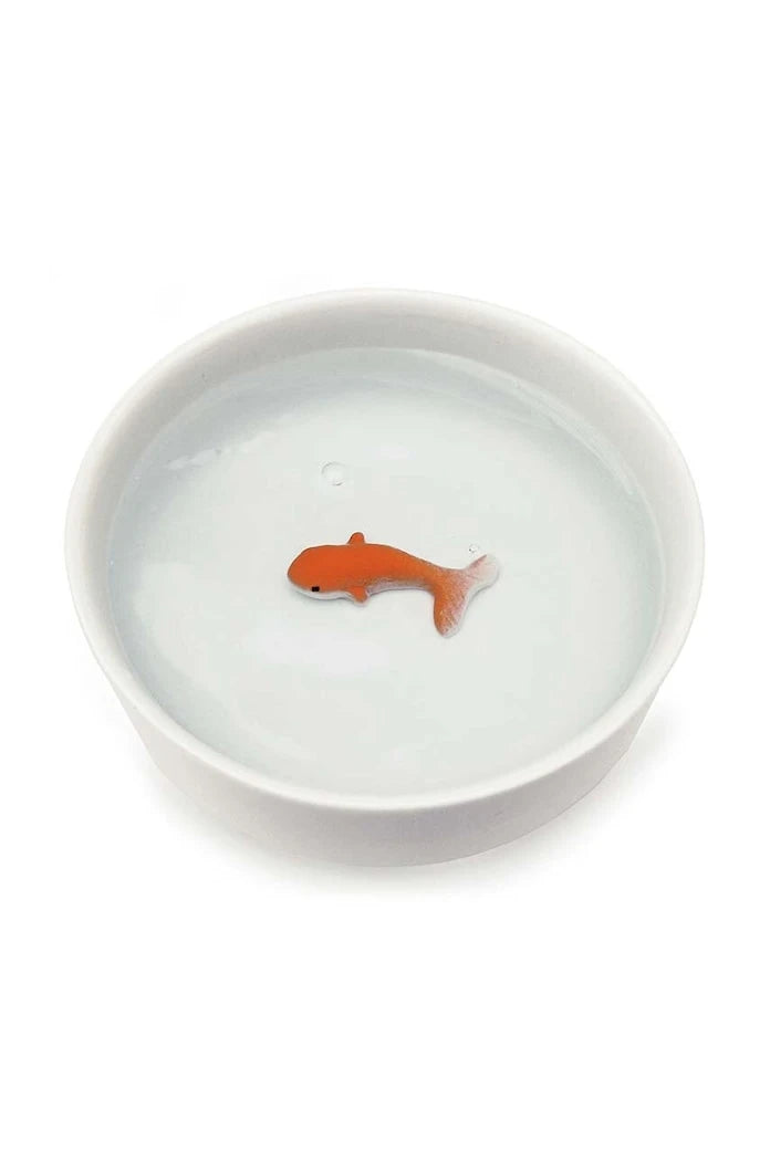 Luckies of London Goldfish Kedi Su Kabı