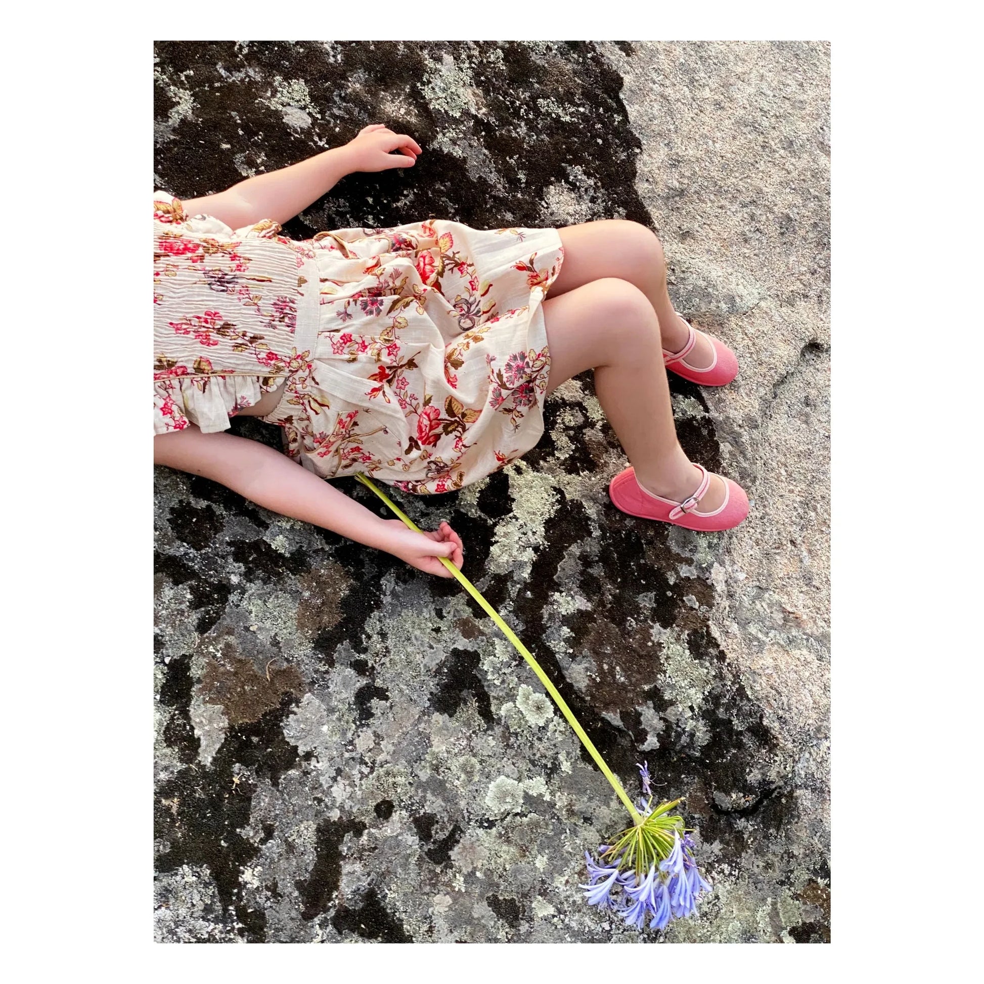 Hermosilla - Ballerinas Peony  | Pink