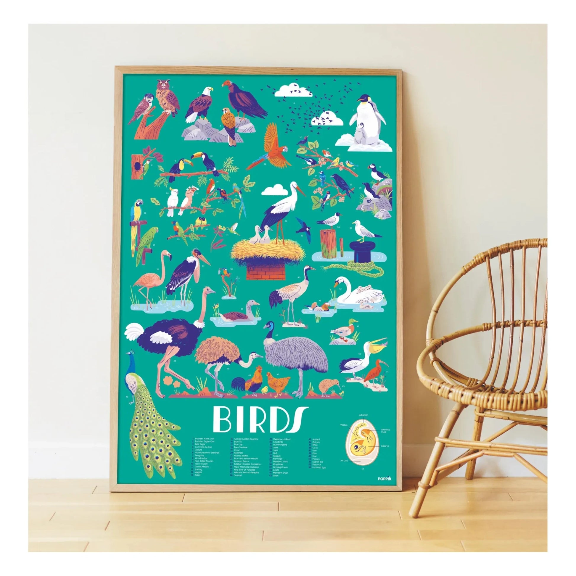 Poppik - Bird Poster and Stickers