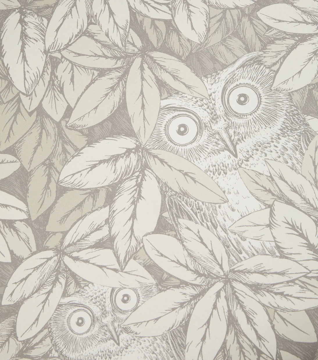 Fornasetti - x Cole & Son Foglie e Civette wallpaper