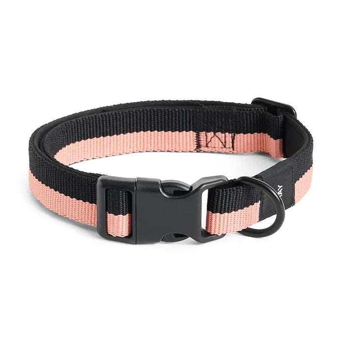 Нашийник за куче HAY M/L 2,5 x 40-65 cm