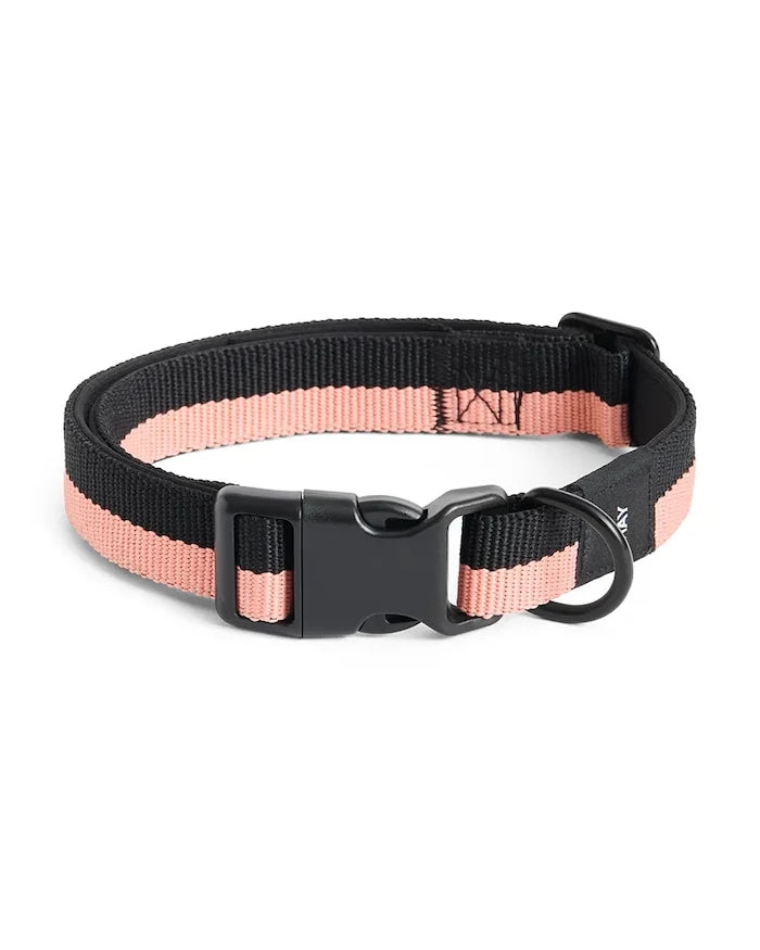 HAY Köpek Tasması M/L 2,5 x 40-65 cm