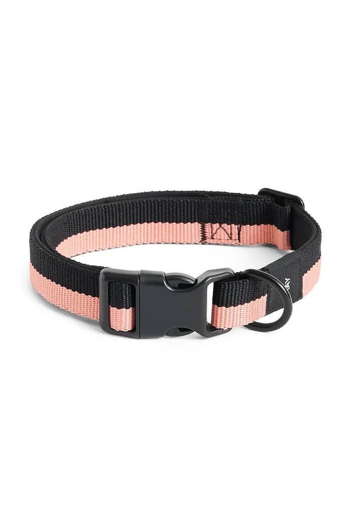 HAY Köpek Tasması M/L 2,5 x 40-65 cm