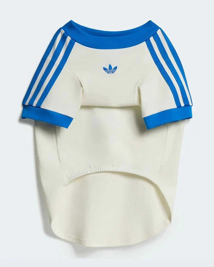 adidas Originals Evcil Hayvan Pet Cali