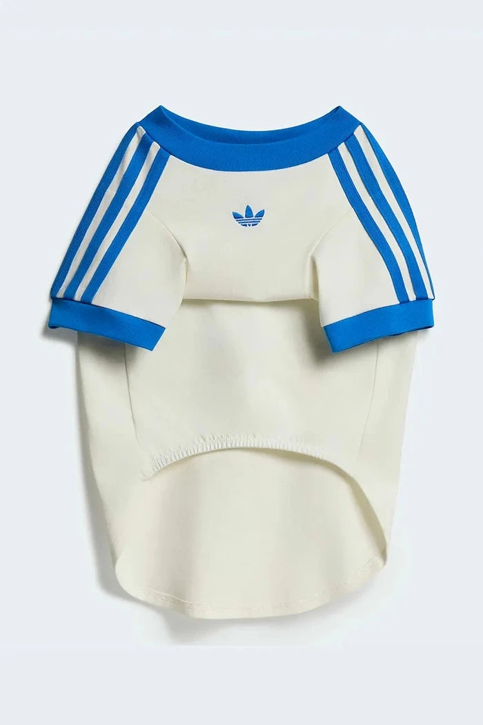 adidas Originals Evcil Hayvan Pet Cali