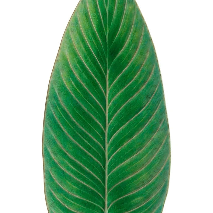 Чиния за сервиране Costa Nova Riviera Strelizia 40 cm