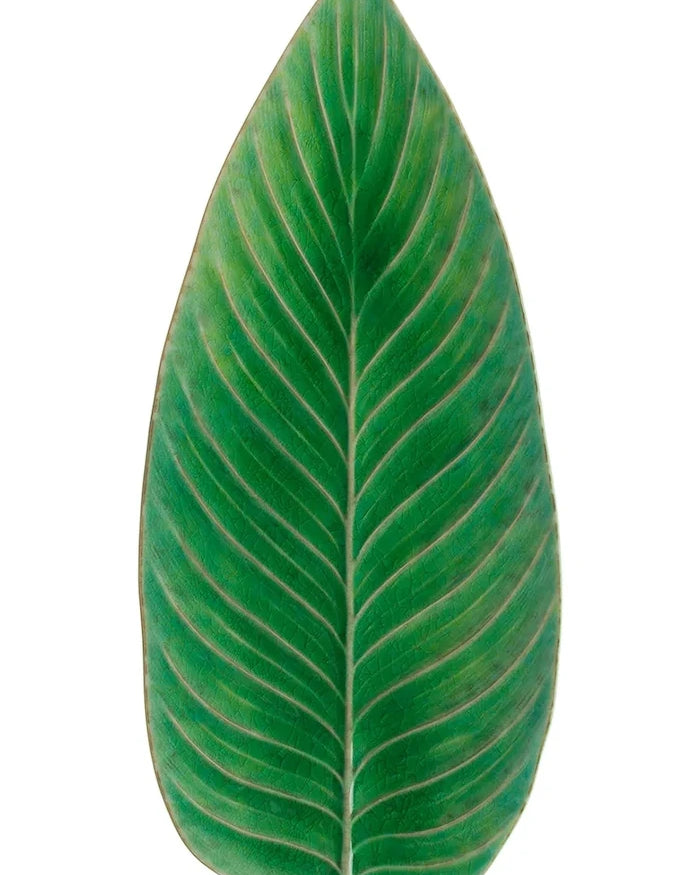 Costa Nova Riviera Strelizia Servis Tabağı 40 cm