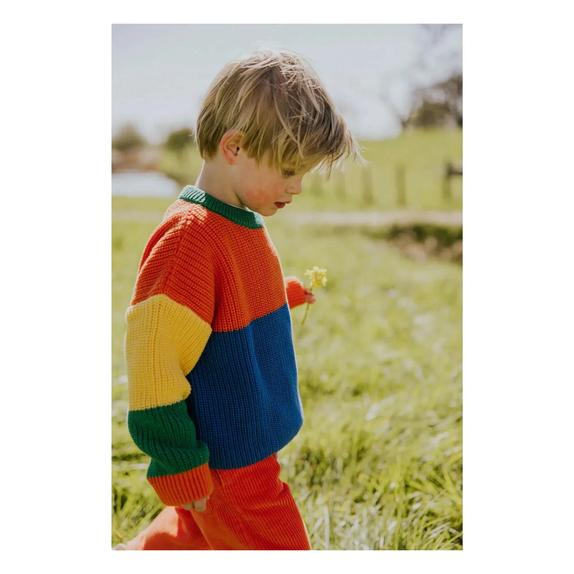 Yuki - Color Block Organic Cotton Sweater | Orange