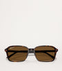 Ray-Ban Brown RB2231 Raimond Sunglasses