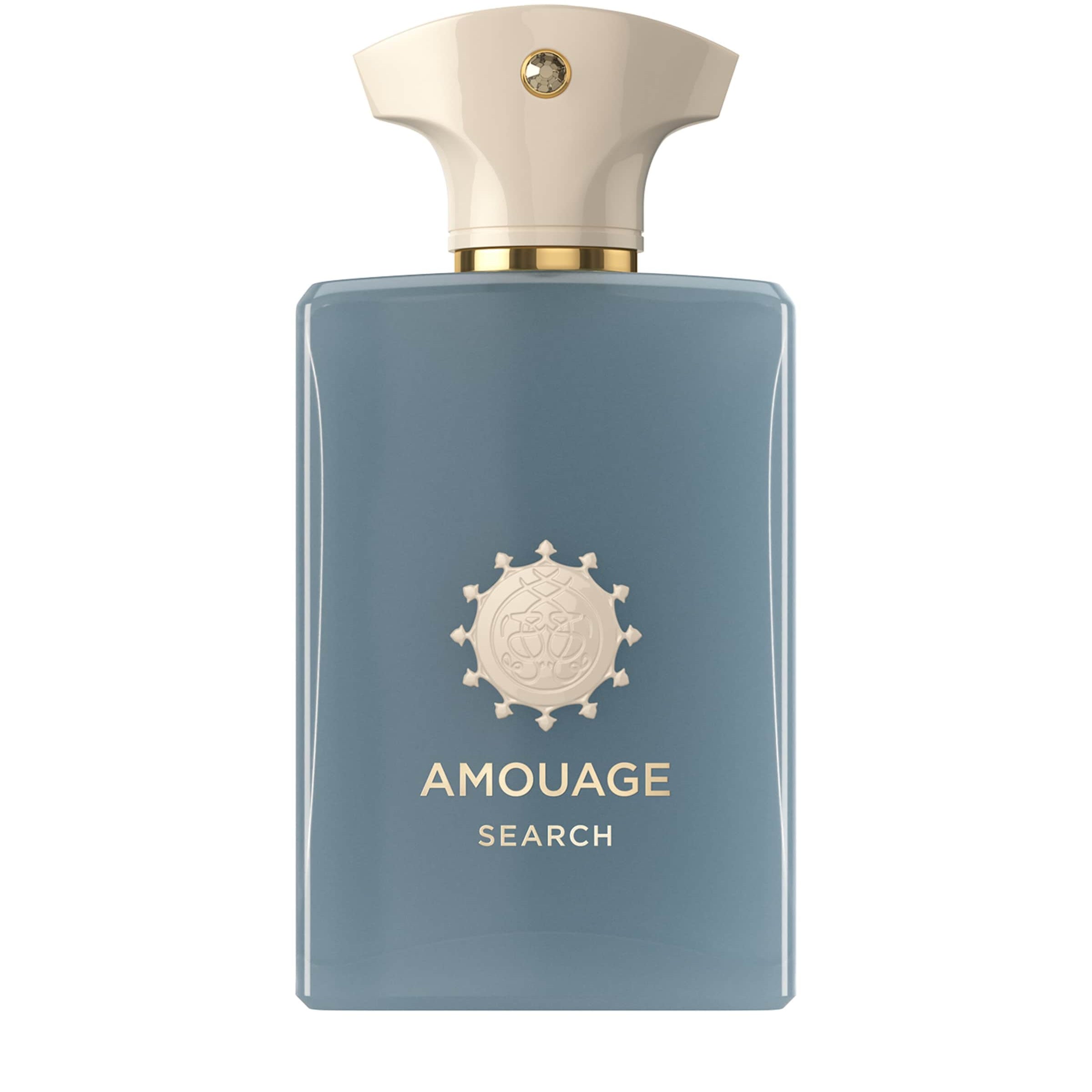 Search Eau de Parfum (100ml)