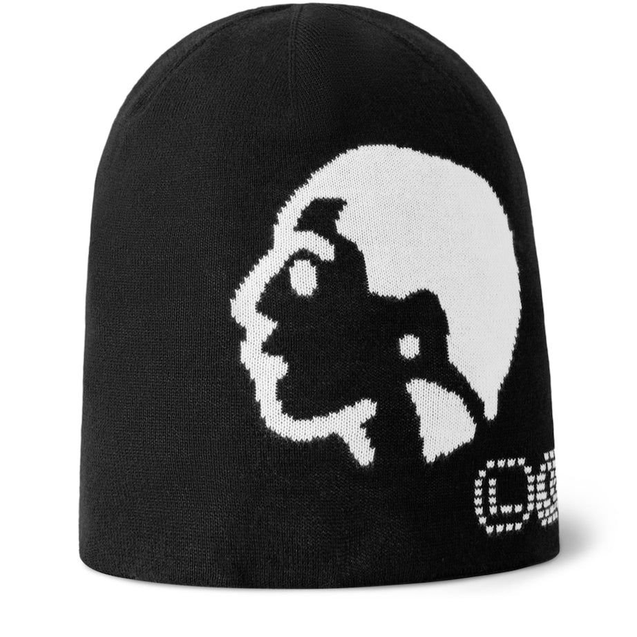 Phriendship Beanie