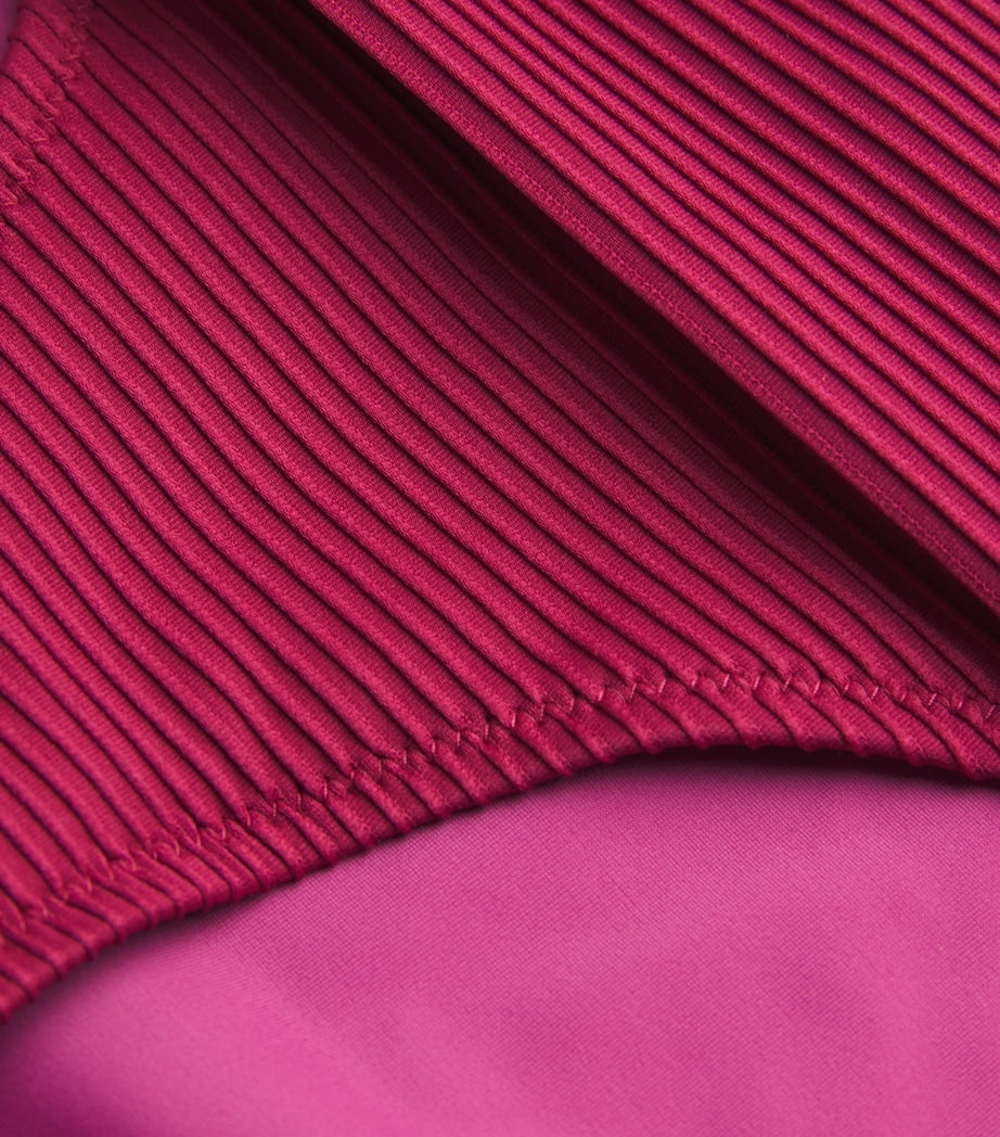 Ribbed Cassis Bikini Bottoms