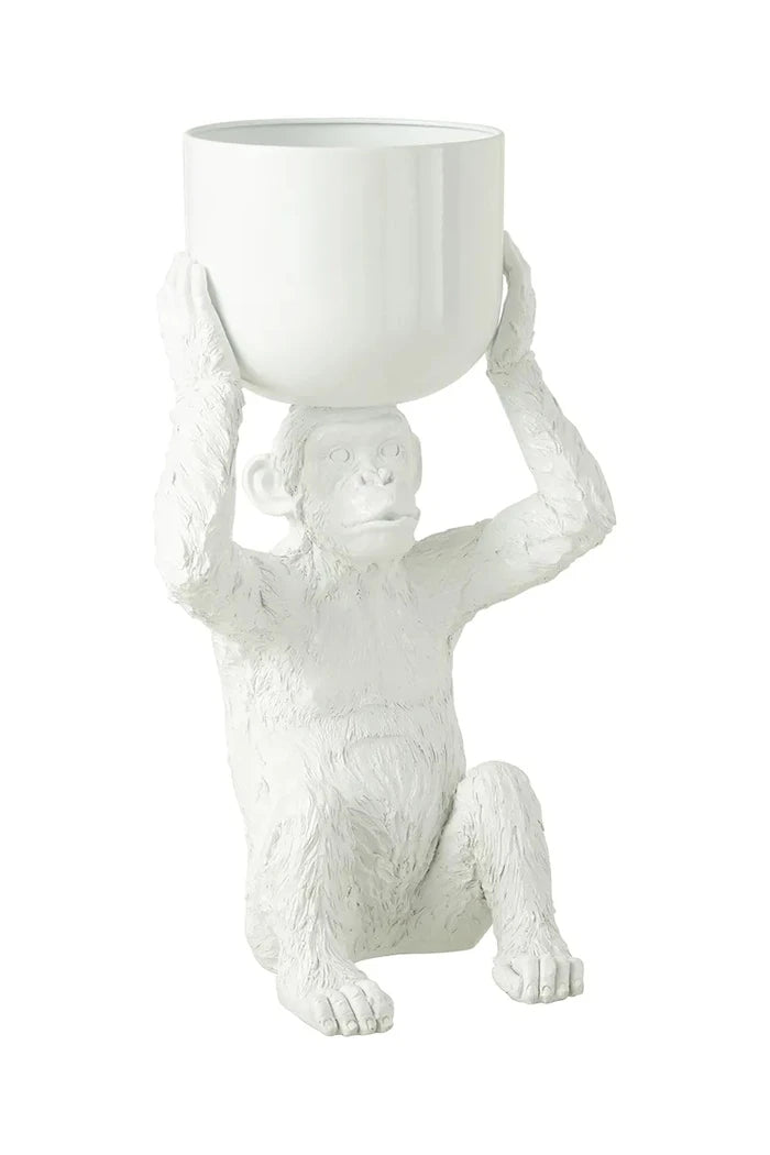 Кофа за лед J-Line Monkey