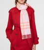 Burberry Cashmere Check Scarf