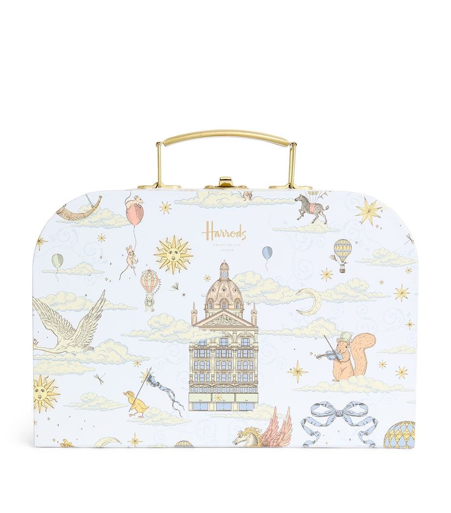 Set of 2 Carry Cases