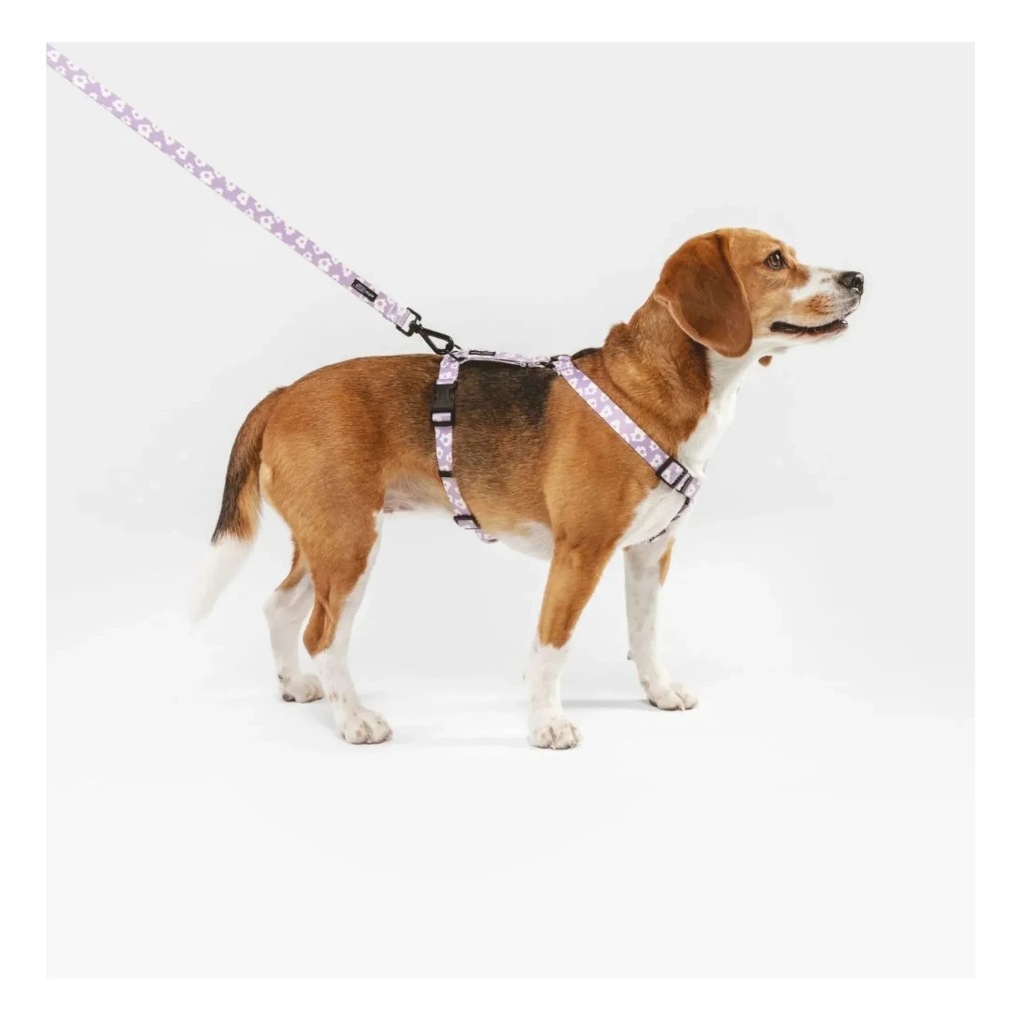 Cafide - Juno dog harness | Lilac