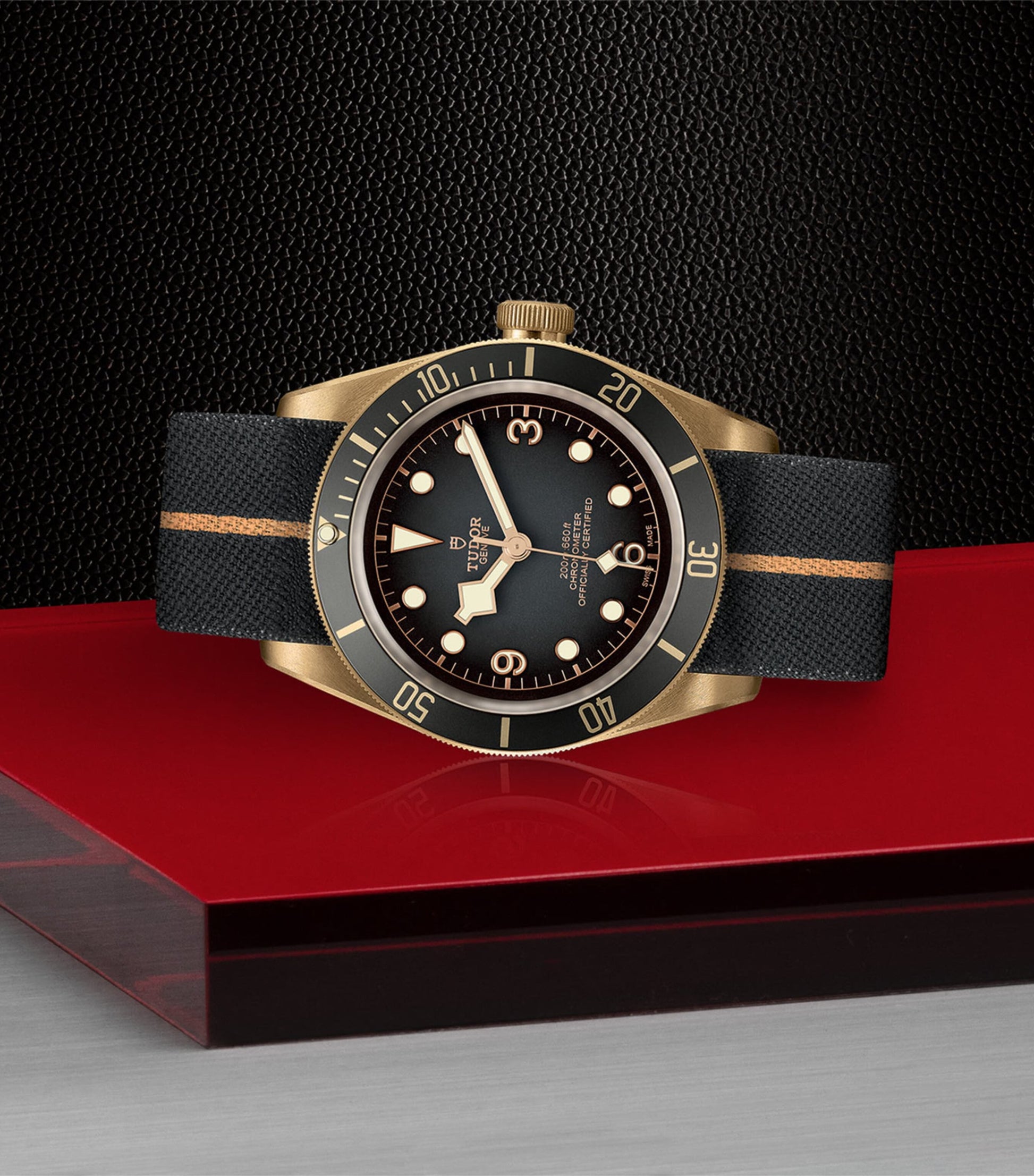 TUDOR Black Bay Bronze Watch 43mm