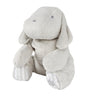 Tartine et Chocolat Lucien Le Chien (25cm)