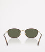 Ray-Ban Brown RB3749 Irregular Sunglasses