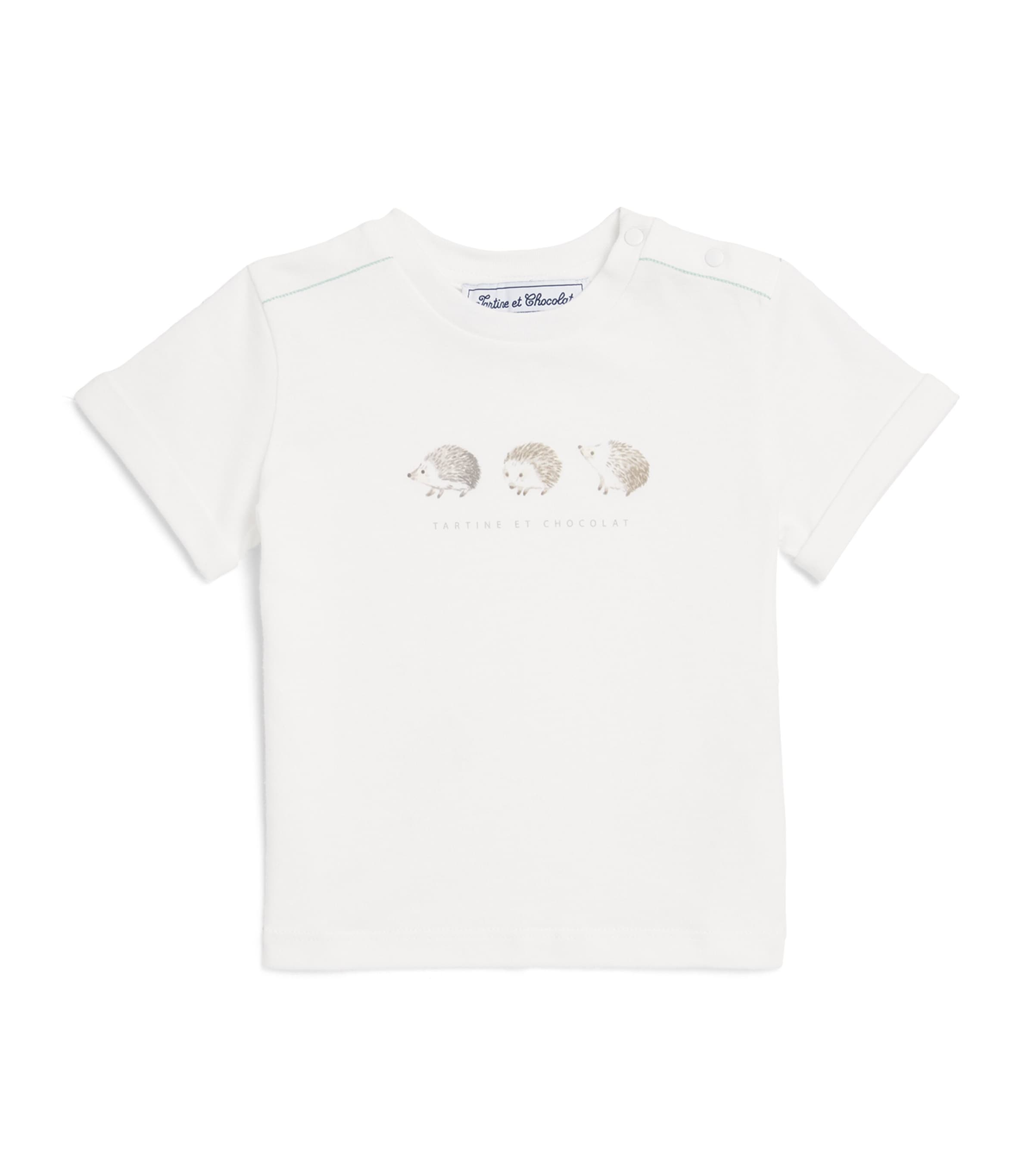 Cotton Jersey T-Shirt (3 Months – 4 Years)