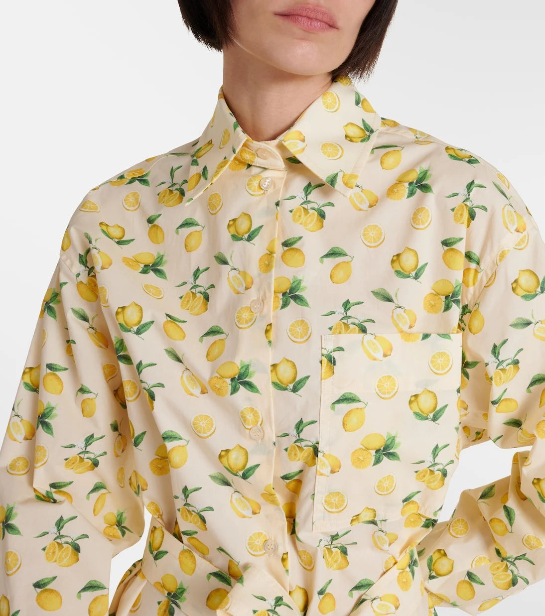 Sportmax - Boero printed cotton shirt dress