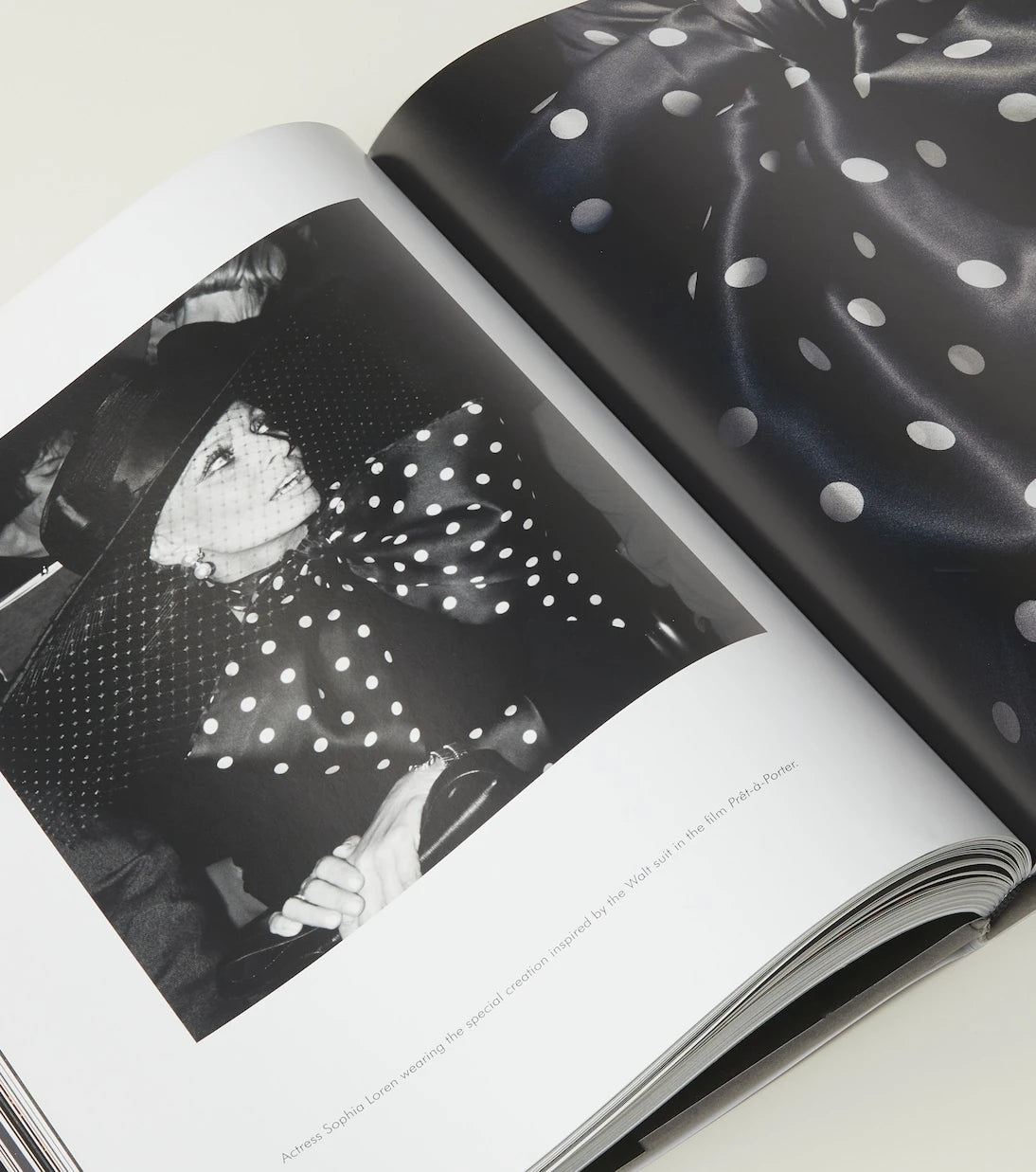 Assouline - Dior by Gianfranco Ferré book