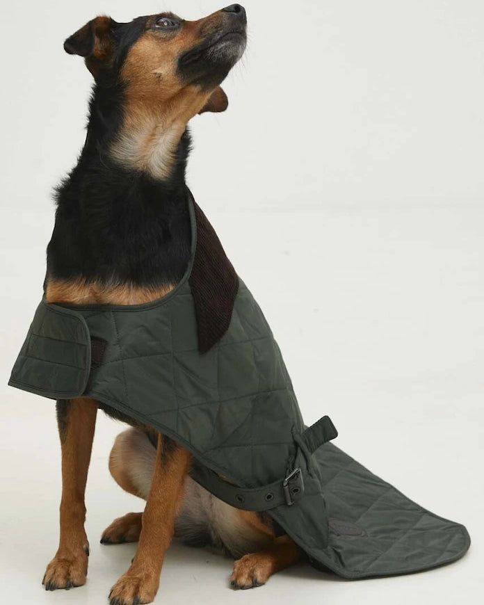 Barbour Köpek Montu