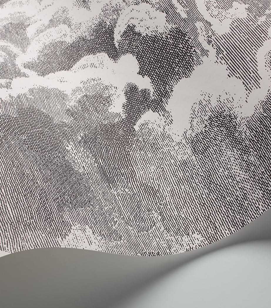 Cole & Son x Fornasetti Set of 2 Nuvolette Wallpaper Rolls