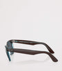 Brown Acetate Wayfarer Sunglasses