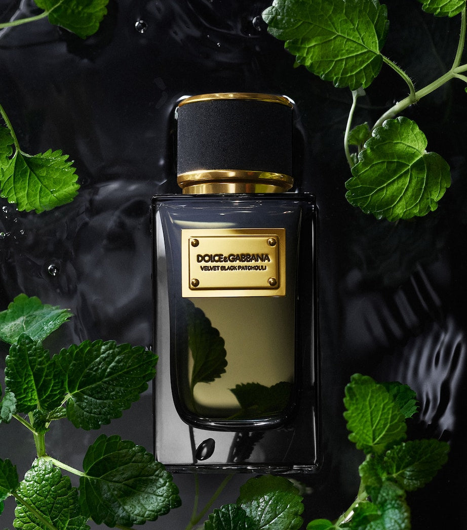 Dolce & Gabbana Velvet Black Patchouli Eau de Parfum (100ml)