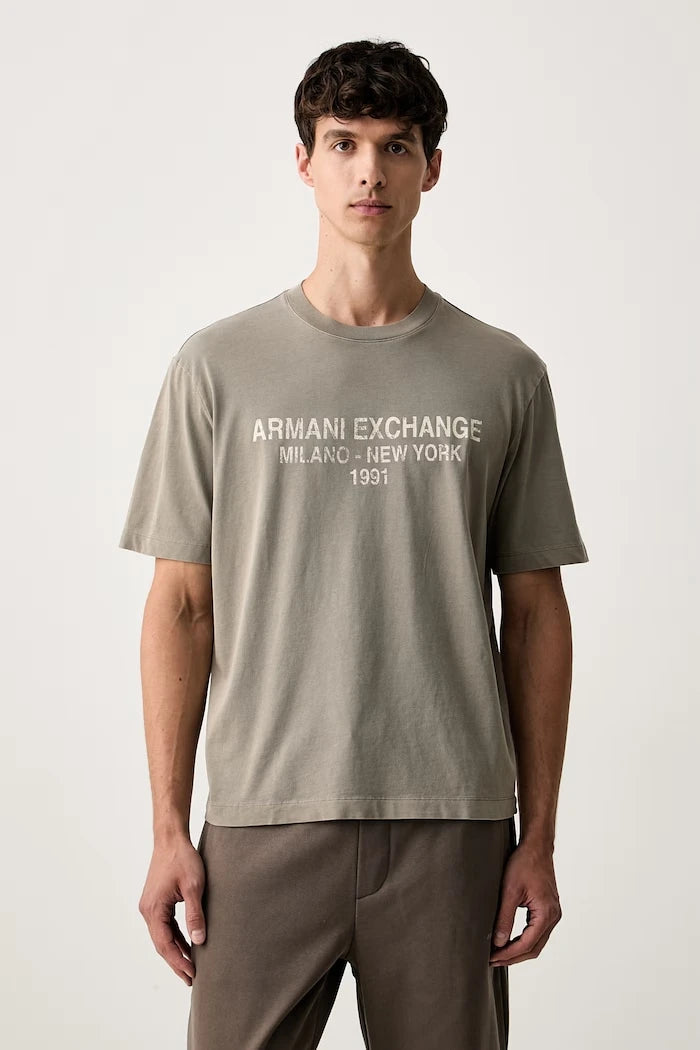Armani Exchange erkek pamuklu tişört