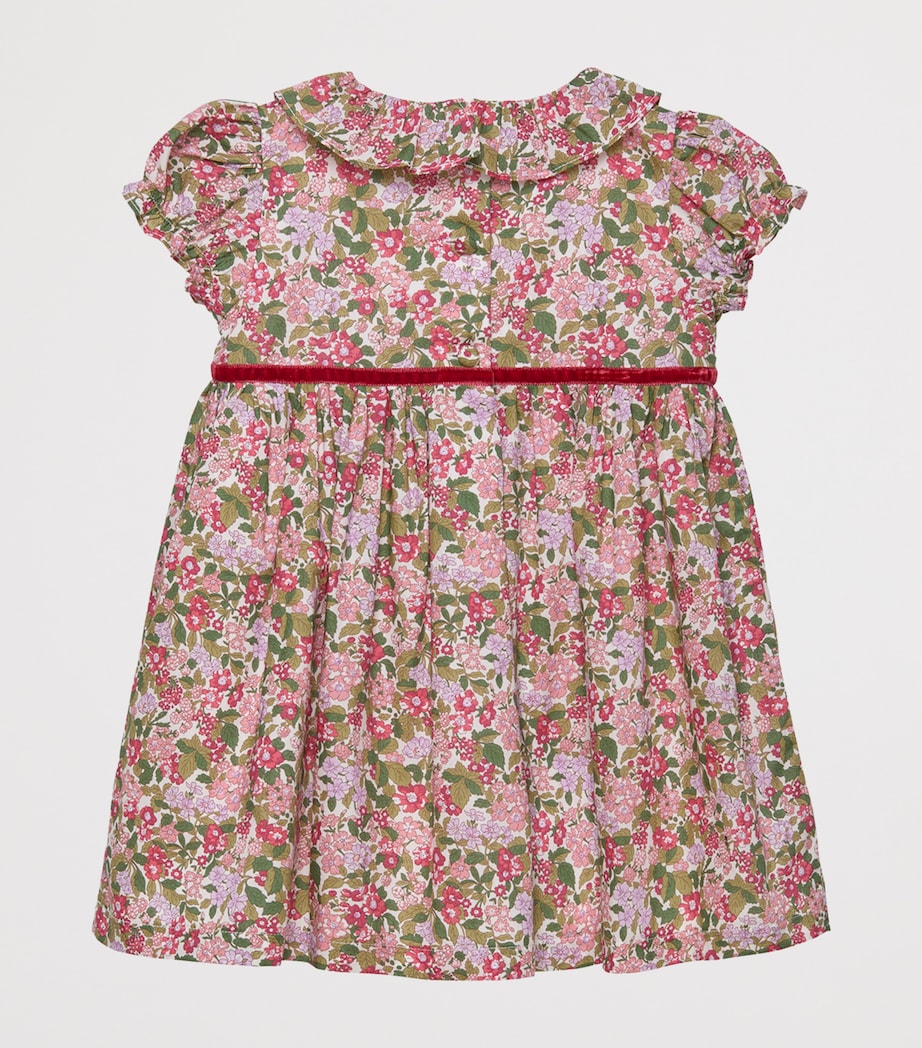 Cotton Liberty Print Hedgerow Willow Dress (3-24 Months)